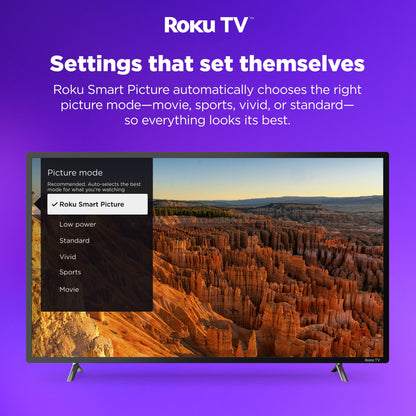 50" Class 4K UHD LED LCD Roku Smart TV HDR R6 Series 50R6E3